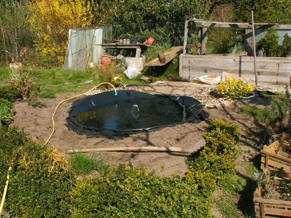 Ein alte Sat-Schüssel, Schaufel und Teichfolie und Fertig ist der induviduelle Gartenteich.