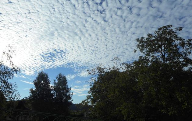 Cielo a pecorelle di stamattina