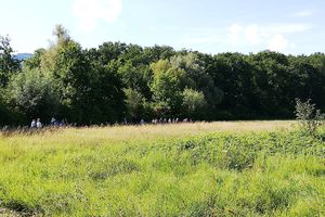 De la campagne à la ferme