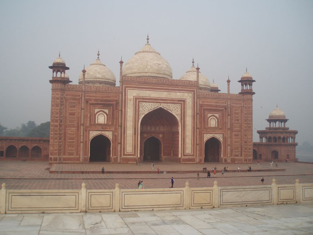 Le Taj Mahal dans toute sa splendeur