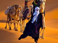 Les plus belles images du Sud Algérien من أجمل صور الجنوب و الصحراء ـ الجزائر