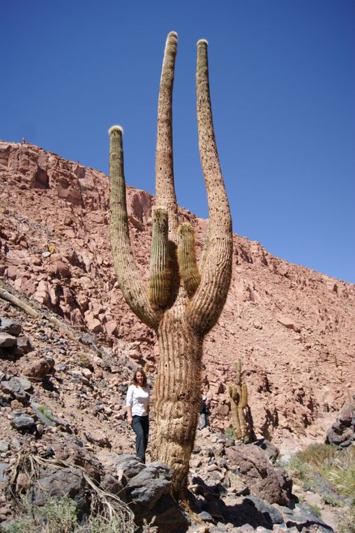 Album - i) Chili - Atacama