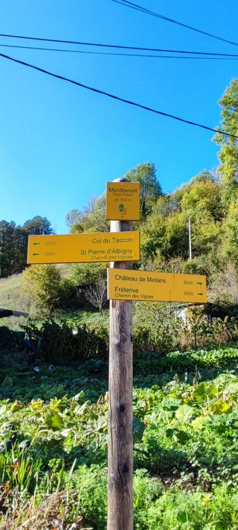 RANDO 2 - LE CHEMIN DES VIGNES - Les Tours de Chignin et Châteaux de Miolans