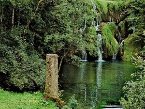 Vue du jardin du gîte.