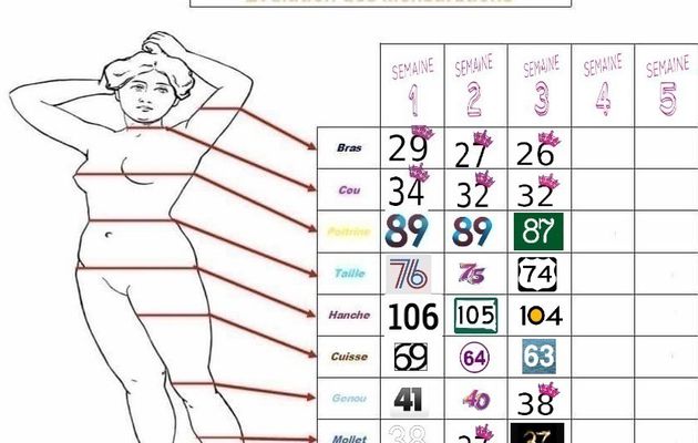 Evolution 3 ème semaine : Le passage d'une taille 44 à une taille 42