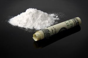 INTRODUCTION TO COCAINE