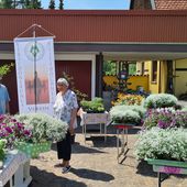 Pflanzentauschbörse des Verschönerungsvereins Veitshöchheim am 22. und 23. Mai 2021 - Veitshöchheim News