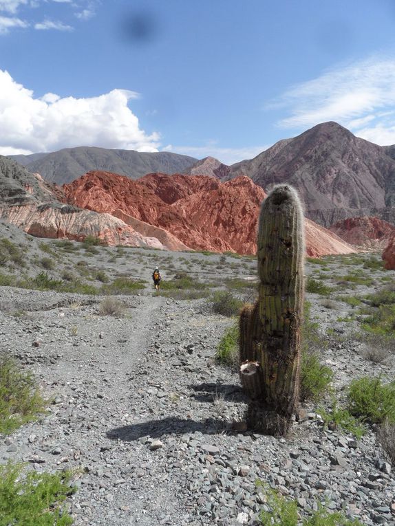 de Salta (Arg) a San Pedro, en passant ppar les salars d'Uyuni en Bolivie : 2 semaines de photos !