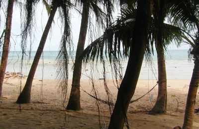 Jours 41 à 46, Thaïlande : Koh Phangan, Rest in Beach