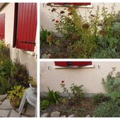 jardin-bricolage-ecologie - Chez Mamigoz