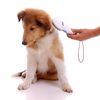 Here’s Why Pet Owners And Veterinarians Needs A High-Quality Microchip Reader