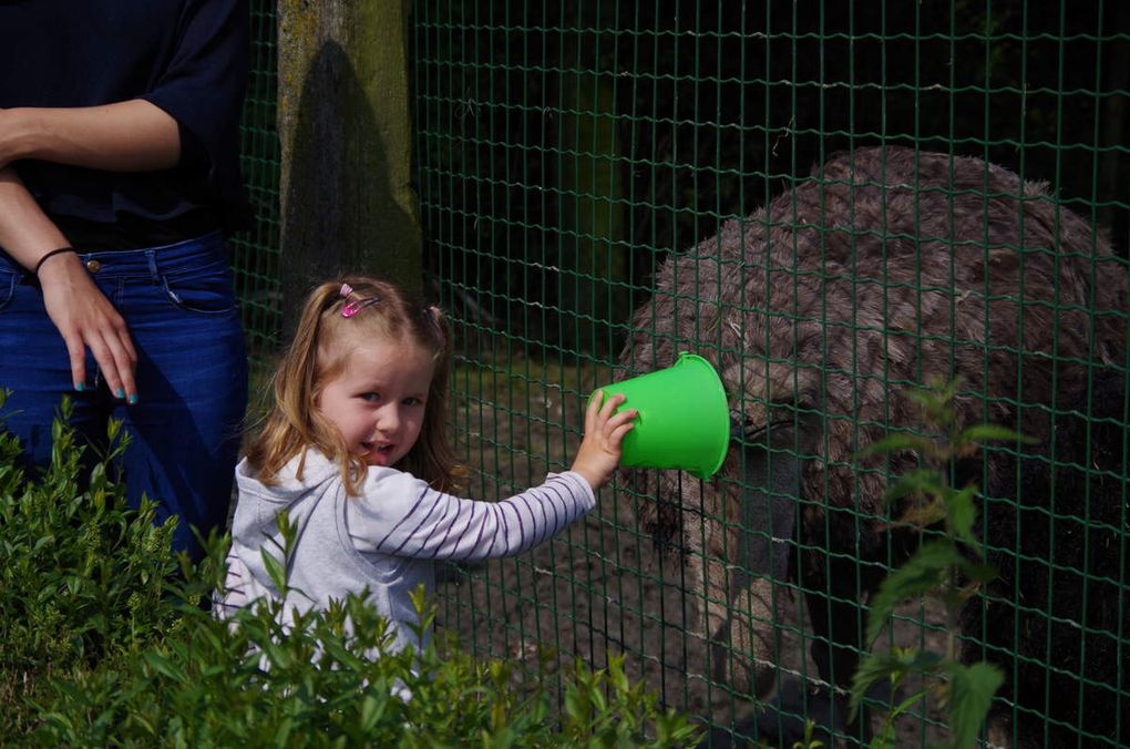 La sortie des maternelle au CAMELUS