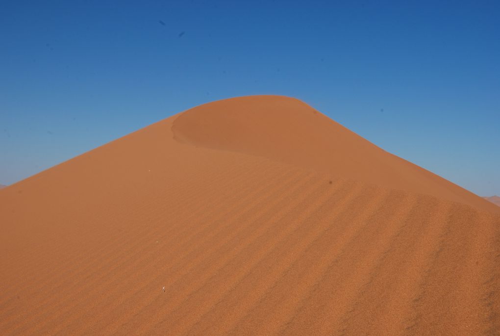 Album - Desert-du-Namib