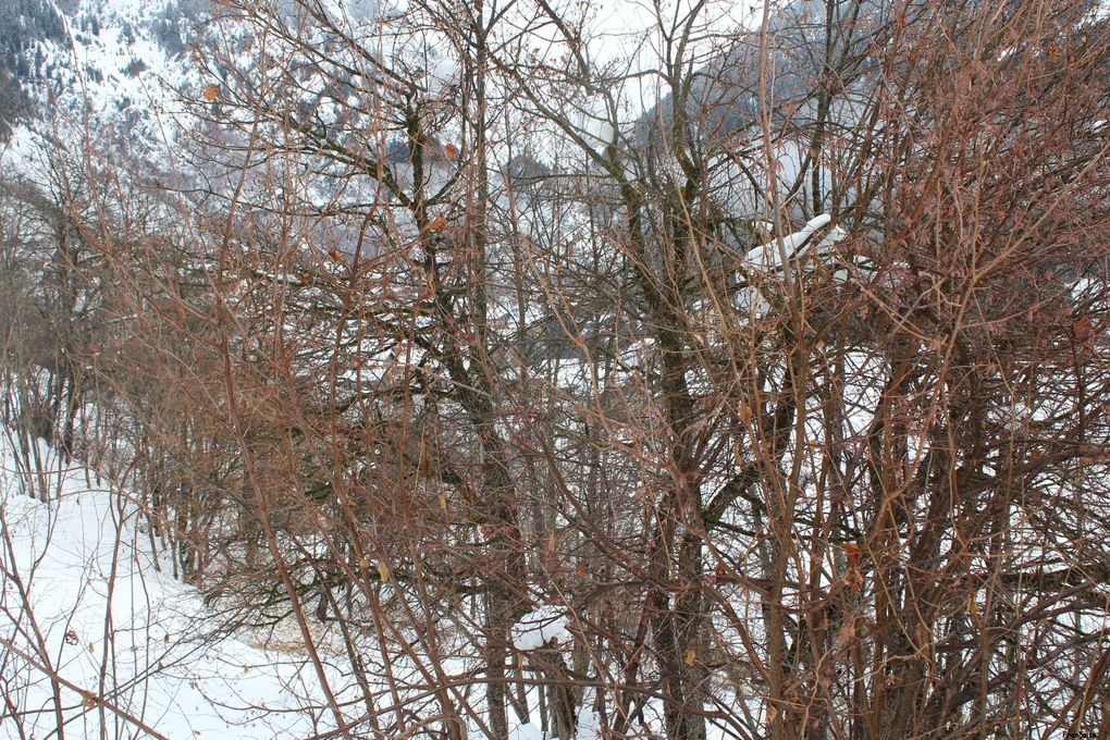 Album - Champagny-l--hiver