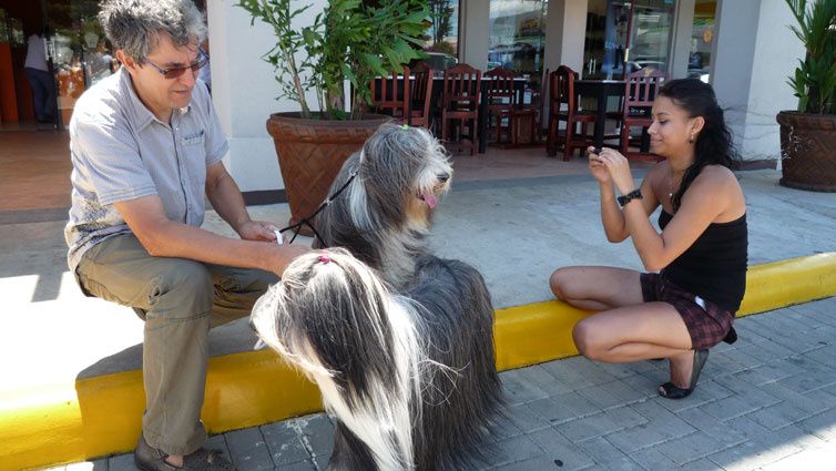 Album - Feria-Canina