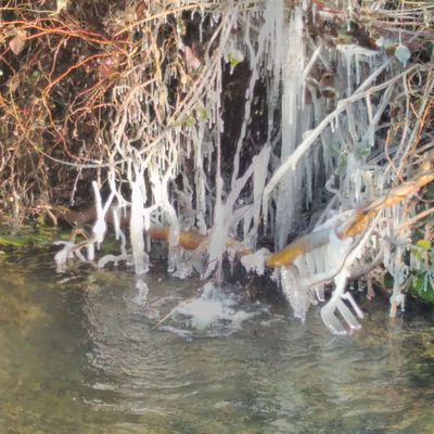 L'Hiver est bien là, l'eau brodeuse, Hors pair 