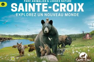 Billetterie parc animalier Sainte croix