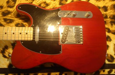 Telecaster Standard US Micros SP Custom