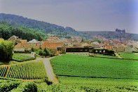 #Champagne Producers  Rilly La Montagne Region – Marne Dept France p2