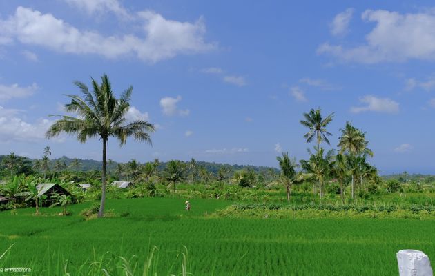 Voyage de 15 jours à Bali avec nos enfants ( 11 et 9 ans): Rétro-planning de nos préparatifs et informations générales sur Bali