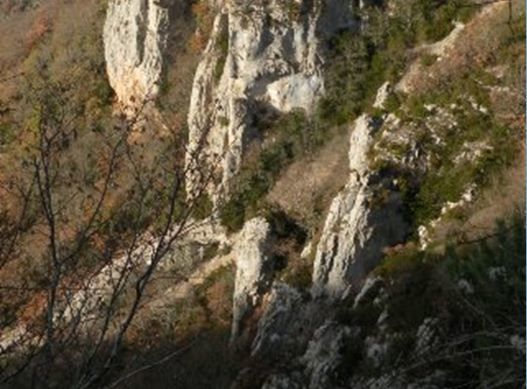 Ici vous trouvez quelques photos du magnifique parcours des Templiers, course à pied "trail", version longue (111 Km, prévu octobre 2010).
(je suis inscrit, reste plus qu'à m'entrainer tranquilement.)