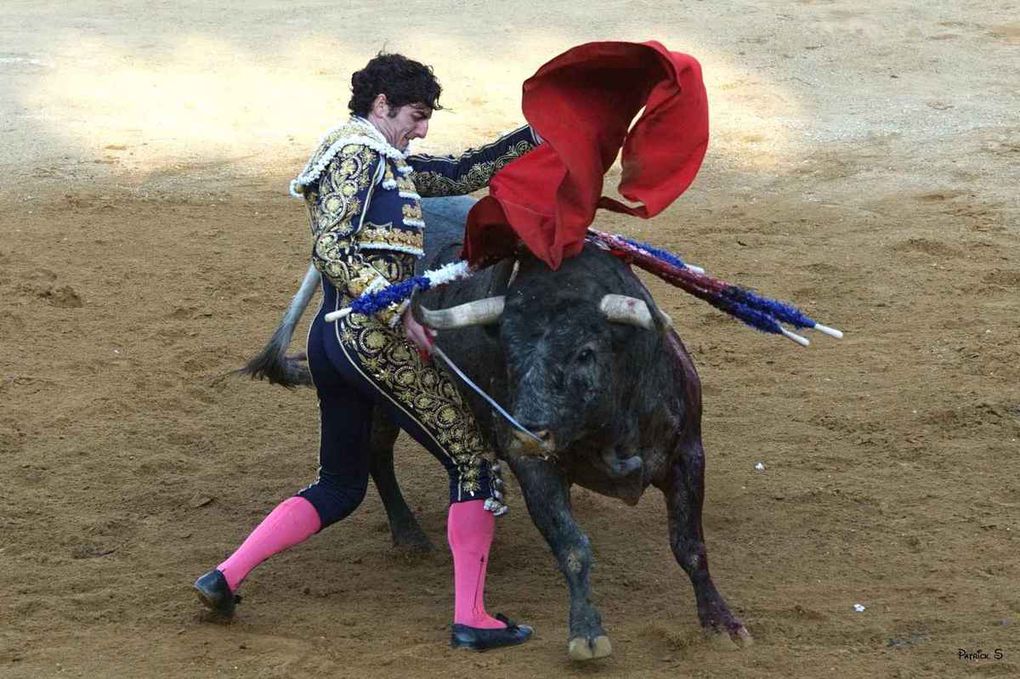 FERIA DE LA MADELEINE 2019. I.