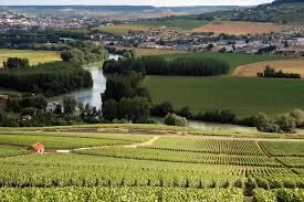 #Dry Champagne Producers Champagne Region France page 19