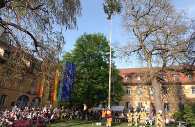 Bei hochsommerlichen Temperaturen Riesenandrang und Volksfeststimmung bei der Maibaumaufstellung im Veitshöchheimer Rathaushof 