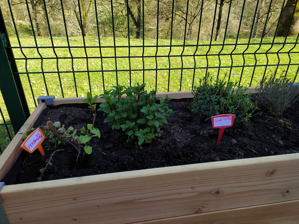 Des nouvelles du jardin !