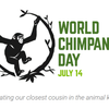 July 14 is World Chimpanzee Day