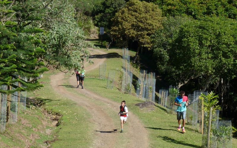 Parc des grandes Fougères