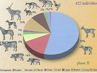 Répartition des espèces d'animaux consommés sur l'oppidum de La Liquière durant différentes phases d'occupation.