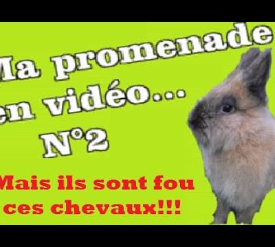 Ma promenade en vidéo N°2