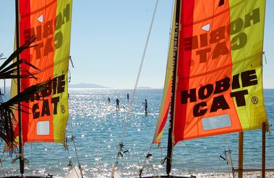 La Plage de Cavalière, les mimosas et....on rentre 