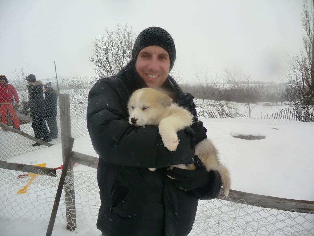 Igloo, moto neige et chien de traîneau ...