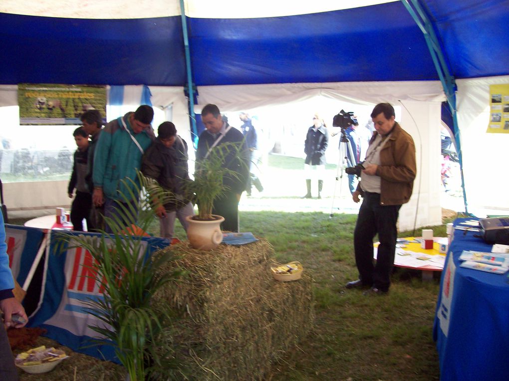 A la Feria asistieron mas de 3 mil personas. Fueron 2 días hermosos que se compartieron a pleno sol. Hubo exposiciones de productos, ventas y eventos culturales. Una fiesta exitosa!!