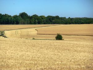 La moisson a commencé