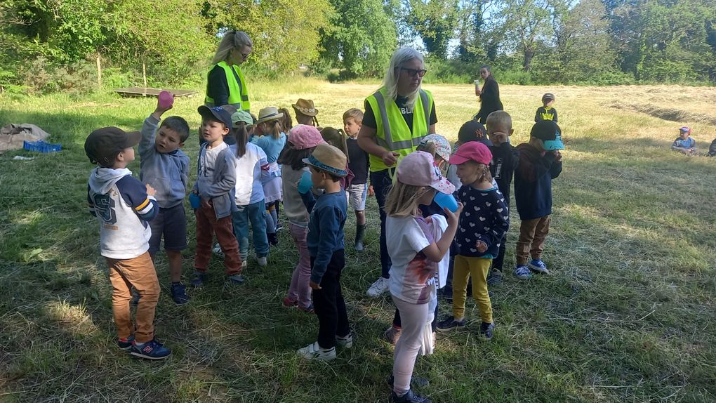 L'école du dehors en maternelle