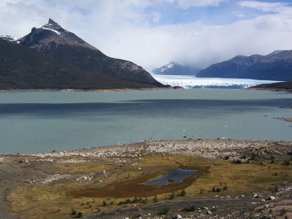 Buenos Aires / Bariloche et les lacs de Patagonie / Glaciers et monts de Patagonie (Perito Moreno et Cierro Fitz Roy) / La Rioja : Parcs nationaux de Talampaya et d'Ischigualasto / Salta et sa région