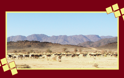 Baptisez une chèvre