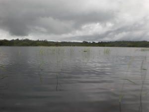 Immensité, paix et beauté, l'intensité d'une nature aux sensations pures, sur les rives du fleuve Amazone. Grande et mystérieuse forêt, labyrinthe des "igarapés", us et coutumes des peuplades locales, symphonie de couchers de soleil, une incurs