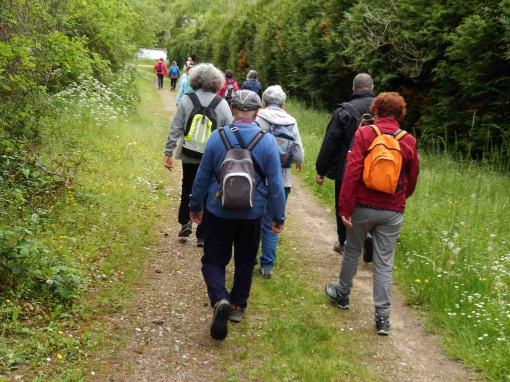 La marche du 11 mai Breuilpont-Lorey