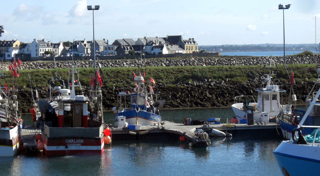 Découverte du port de pêche de Loctudy un lundi matin...