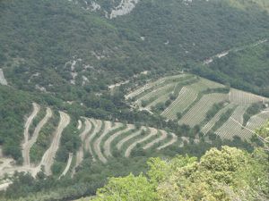 GIGONDAS, LES DENTELLES DE MONTMIRAIL ET SEGURET 