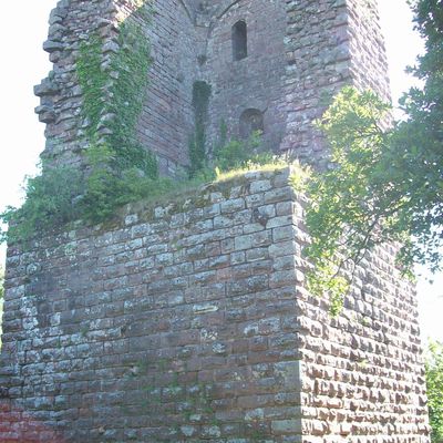 châteaux d'alsace (ruines)