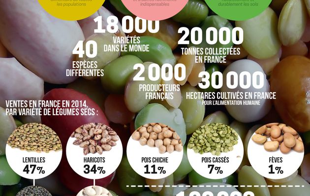 Les légumineuses :  légumes superstars !