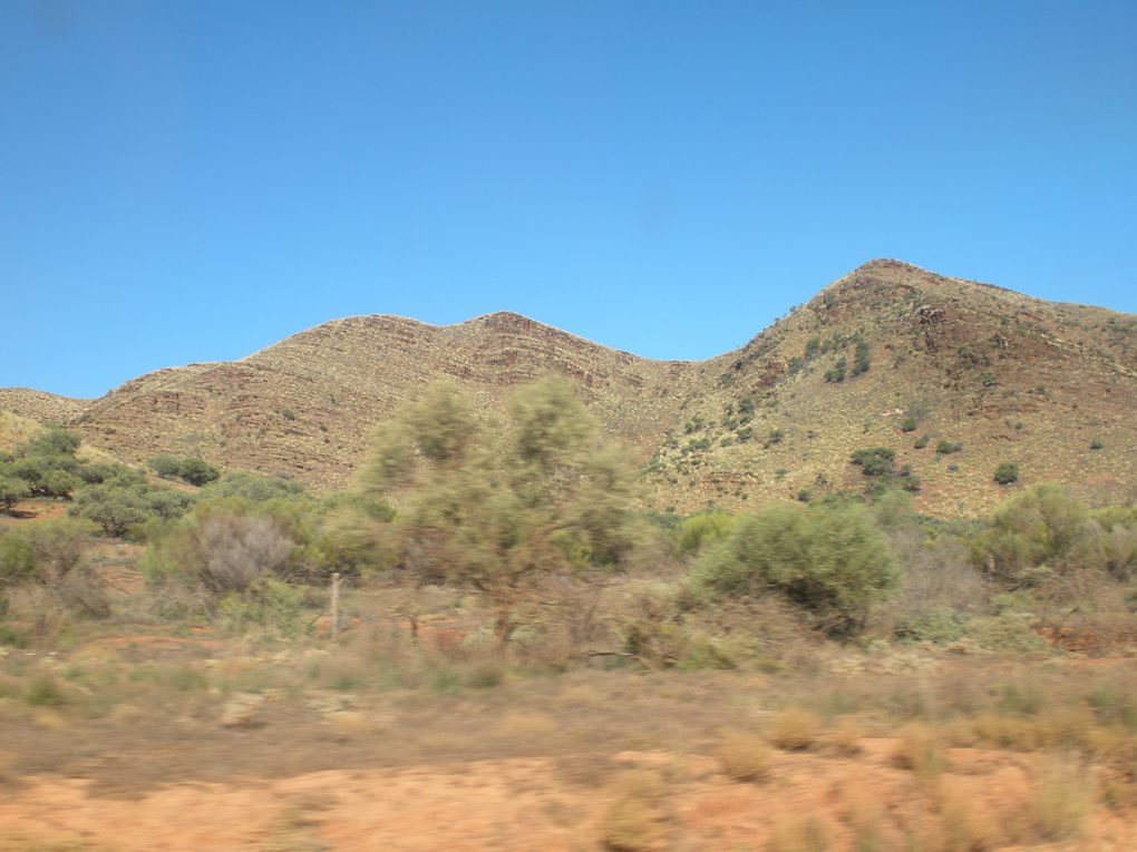 Une journée passée dans les Flinders Ranges, parc naturel de South Australia