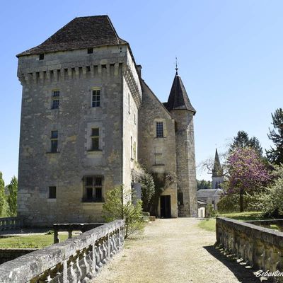 Château de Château-l'Evêque en Dordogne