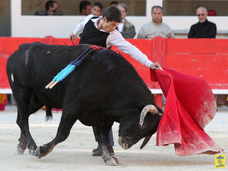 St-Martin-de-Crau Samedi 8 octobre 1011 Journée du Revivre de la Feria de la Crau Tienta de macho et de vacas et Lidia de 4 toros Ganaderias : Giraud-Malaga-Yonnet