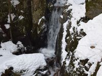 La Savoureuse, du Petit-Haut au Saut de la Truite